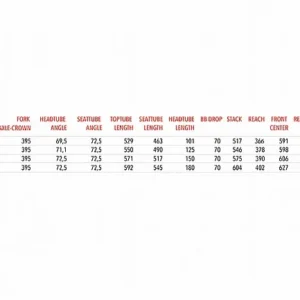 3T Exploro Primo Gravel Frameset